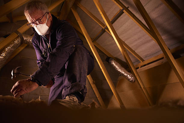 Best Eco-Friendly Insulation in Ilco, WA